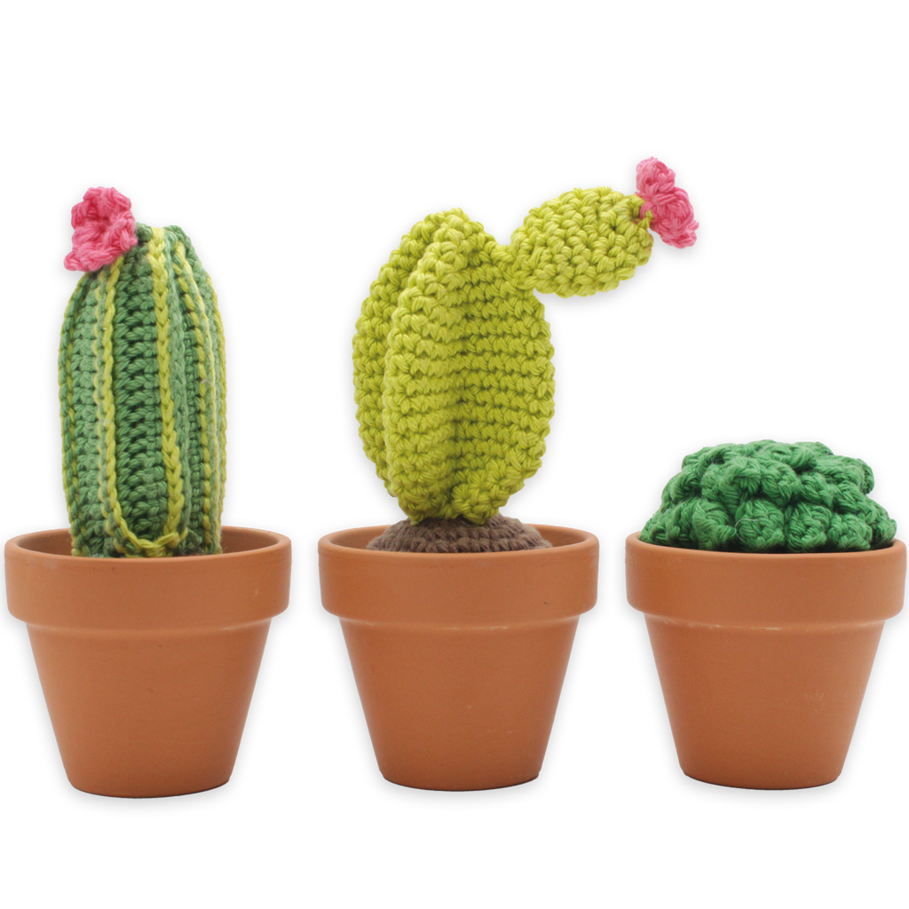 DIY Crochet Kit - Cacti
