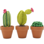 DIY Crochet Kit - Cacti