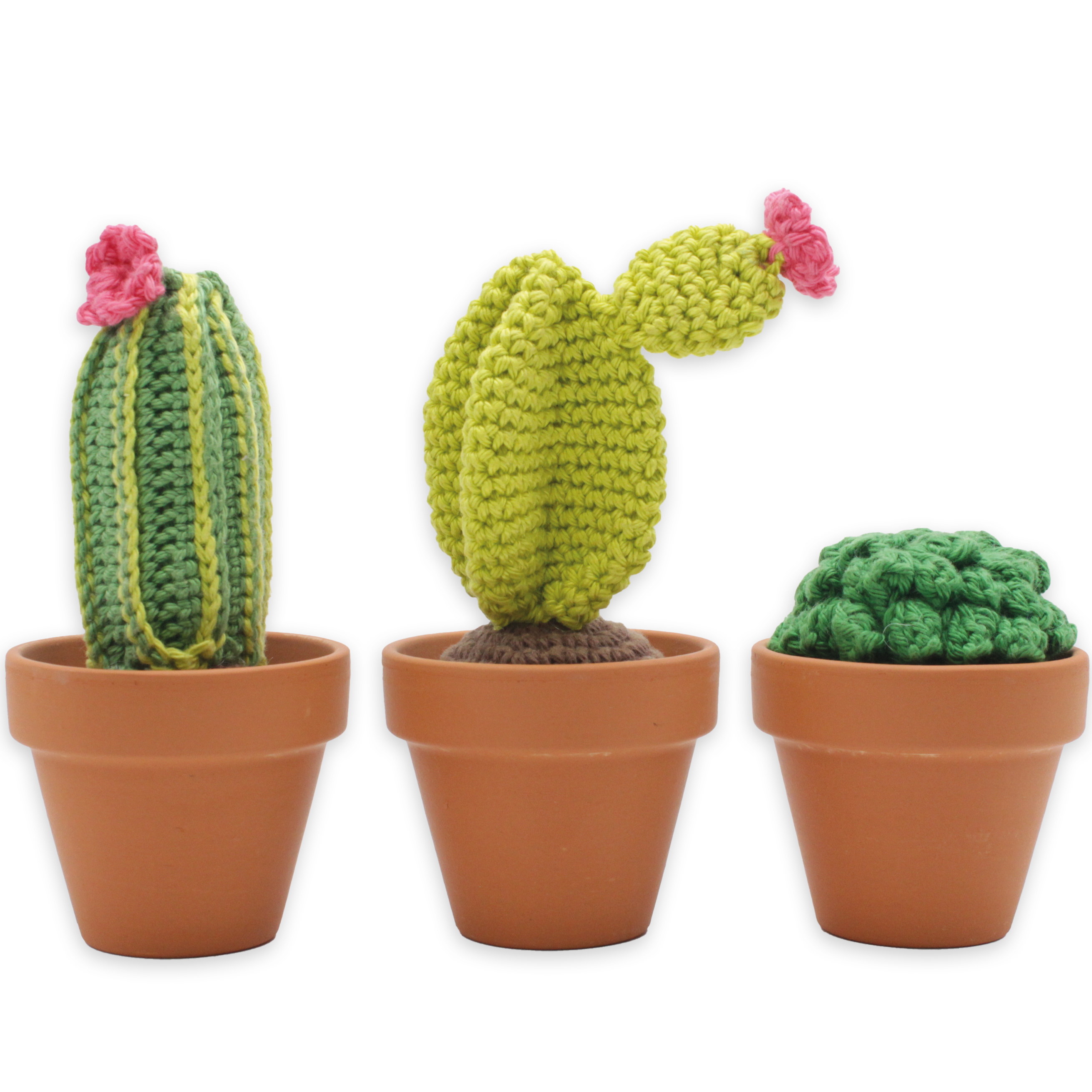 DIY Crochet Kit - Cacti